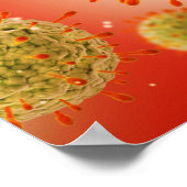 Microscopisch Uitzicht van het herpesvirus 1 Poster (Hoek)