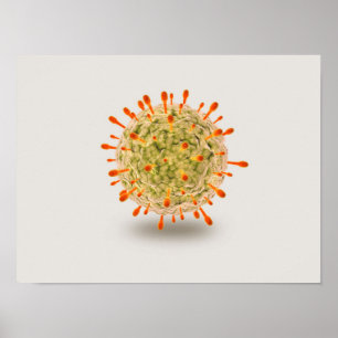 Microscopisch Uitzicht van het herpesvirus 2 Poster