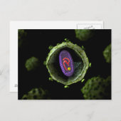 Microscopisch Uitzicht van het HIV-virus, doorsned Briefkaart (Voorkant / Achterkant)
