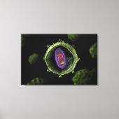 Microscopisch Uitzicht van het HIV-virus, doorsned Canvas Afdruk (Voorkant)