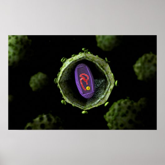 Microscopisch Uitzicht van het HIV-virus, doorsned Poster (Voorkant)