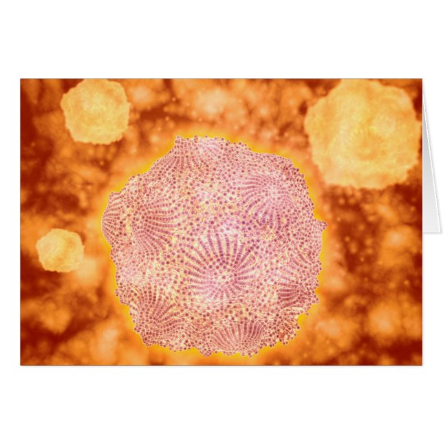 Microscopisch Uitzicht van het kaninenparvovirus 1 (Voorkant Horizontaal)