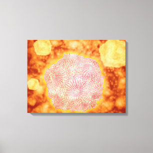 Microscopisch Uitzicht van het kaninenparvovirus 1 Canvas Afdruk