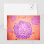 Microscopisch Uitzicht van het kaninenparvovirus 2 Briefkaart (Voorkant / Achterkant)