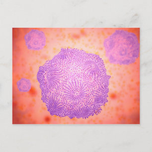 Microscopisch Uitzicht van het kaninenparvovirus 2 Briefkaart