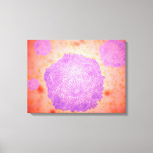 Microscopisch Uitzicht van het kaninenparvovirus 2 Canvas Afdruk