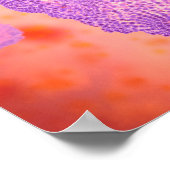 Microscopisch Uitzicht van het kaninenparvovirus 2 Poster (Hoek)