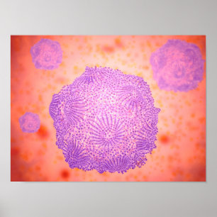 Microscopisch Uitzicht van het kaninenparvovirus 2 Poster