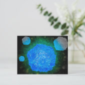 Microscopisch Uitzicht van het kaninenparvovirus 3 Briefkaart (Staand voorkant)