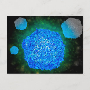 Microscopisch Uitzicht van het kaninenparvovirus 3 Briefkaart