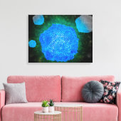 Microscopisch Uitzicht van het kaninenparvovirus 3 Canvas Afdruk (Insitu (Woonkamer))