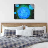 Microscopisch Uitzicht van het kaninenparvovirus 3 Canvas Afdruk (Insitu (Slaapkamer))