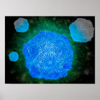 Microscopisch Uitzicht van het kaninenparvovirus 3