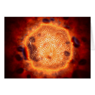 Microscopisch Uitzicht van het kaninenparvovirus 4