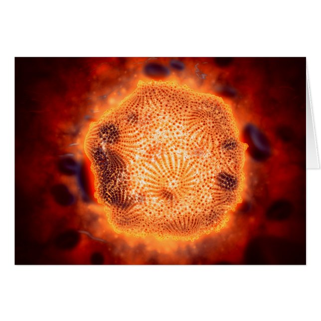 Microscopisch Uitzicht van het kaninenparvovirus 4 (Voorkant Horizontaal)