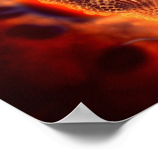 Microscopisch Uitzicht van het kaninenparvovirus 4 Poster (Hoek)