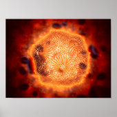 Microscopisch Uitzicht van het kaninenparvovirus 4 Poster (Voorkant)