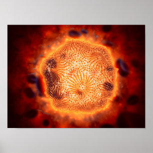 Microscopisch Uitzicht van het kaninenparvovirus 4 Poster