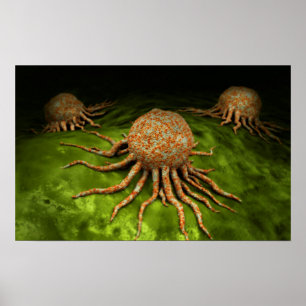 Microscopisch Uitzicht van het kankervirus Poster