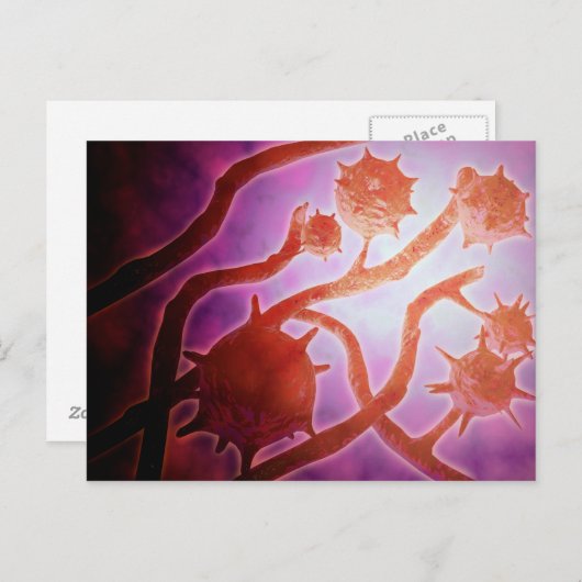 Microscopisch Uitzicht van histoplasmose Briefkaart (Voorkant / Achterkant)