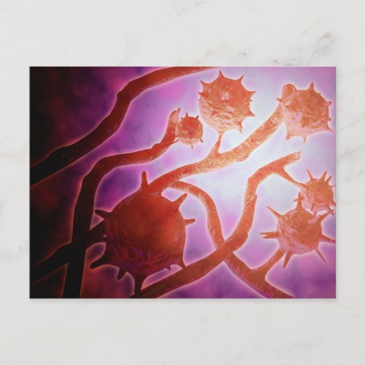 Microscopisch Uitzicht van histoplasmose Briefkaart (Voorkant)