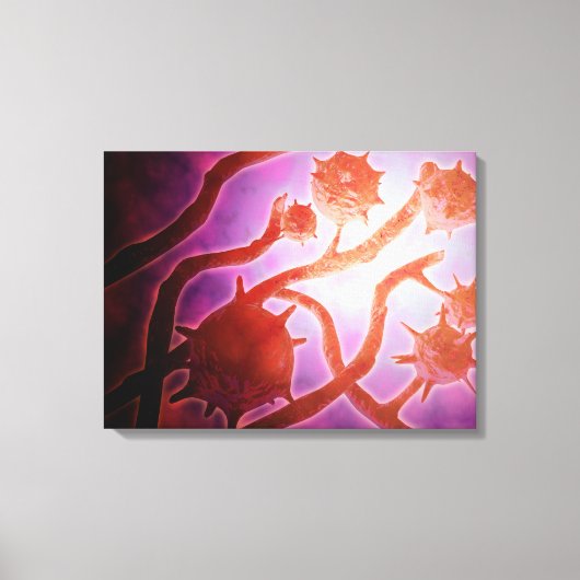 Microscopisch Uitzicht van histoplasmose Canvas Afdruk (Voorkant)