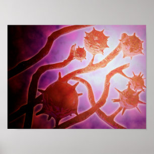 Microscopisch Uitzicht van histoplasmose Poster