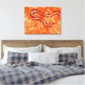 Microscopisch Uitzicht van Hookworm 2 Canvas Afdruk (Insitu (Slaapkamer))