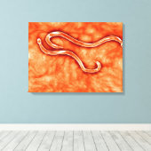 Microscopisch Uitzicht van Hookworm 2 Canvas Afdruk (Insitu (Houten vloer))