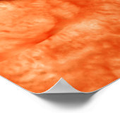 Microscopisch Uitzicht van Hookworm 2 Poster (Hoek)