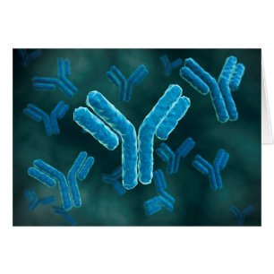 Microscopisch Uitzicht van immunoglobuline G-molec
