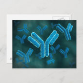 Microscopisch Uitzicht van immunoglobuline G-molec Briefkaart (Voorkant / Achterkant)