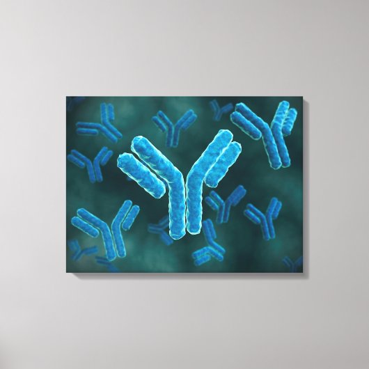 Microscopisch Uitzicht van immunoglobuline G-molec Canvas Afdruk (Voorkant)
