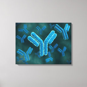 Microscopisch Uitzicht van immunoglobuline G-molec Canvas Afdruk