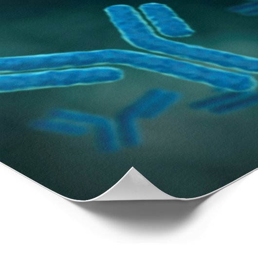 Microscopisch Uitzicht van immunoglobuline G-molec Poster (Hoek)