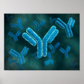 Microscopisch Uitzicht van immunoglobuline G-molec Poster (Voorkant)