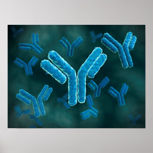 Microscopisch Uitzicht van immunoglobuline G-molec Poster (Voorkant)