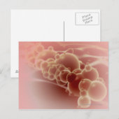 Microscopisch uitzicht van latexmicrosferen briefkaart (Voorkant / Achterkant)