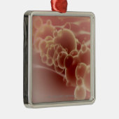 Microscopisch uitzicht van latexmicrosferen metalen ornament (Rechts)