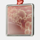Microscopisch uitzicht van latexmicrosferen metalen ornament (Links)