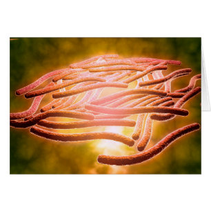 Microscopisch Uitzicht van Legionella Pneumophila