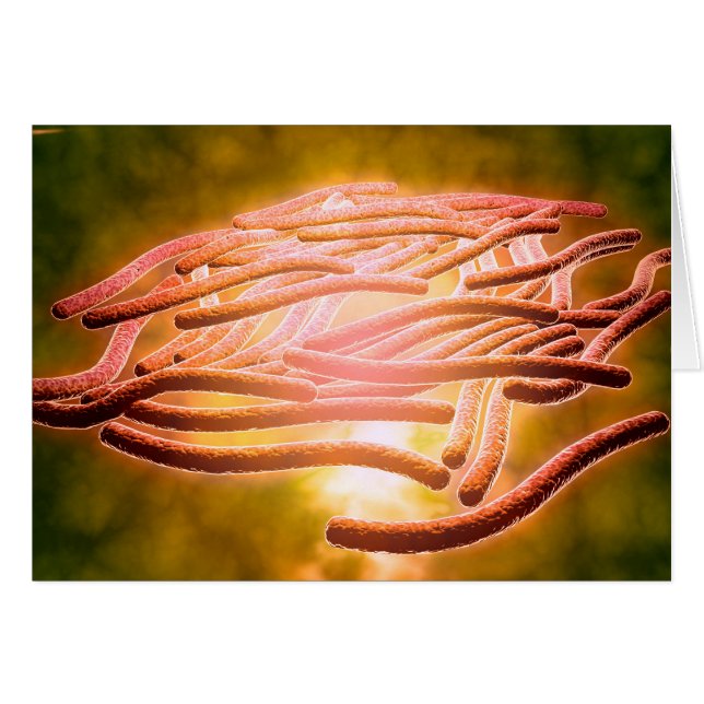 Microscopisch Uitzicht van Legionella Pneumophila  (Voorkant Horizontaal)