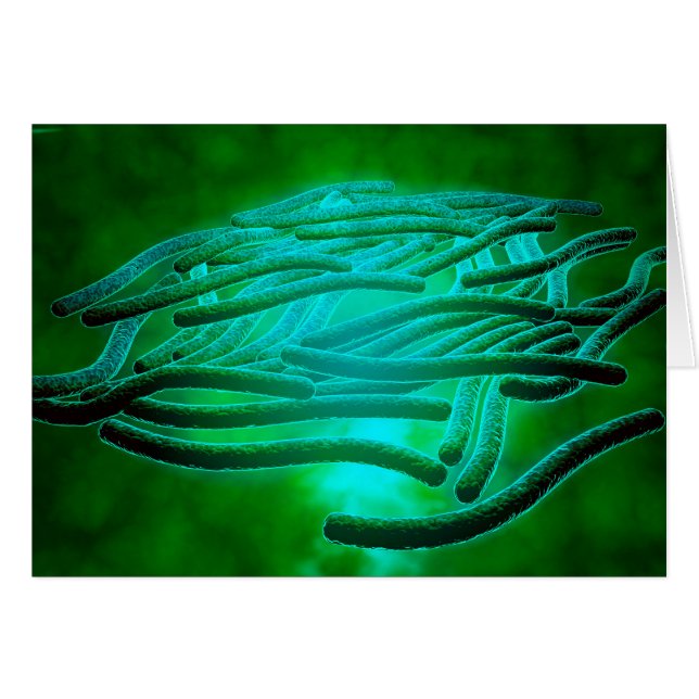 Microscopisch Uitzicht van Legionella Pneumophila  (Voorkant Horizontaal)