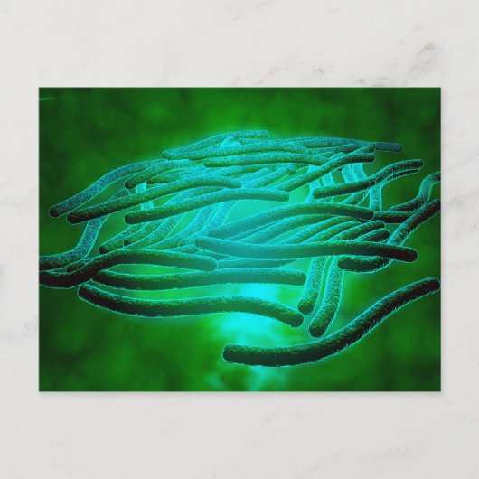 Microscopisch Uitzicht van Legionella Pneumophila  Briefkaart (Voorkant)