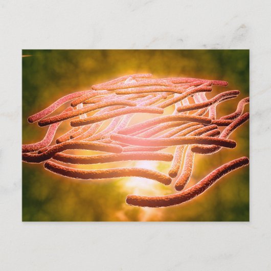 Microscopisch Uitzicht van Legionella Pneumophila  Briefkaart (Voorkant)