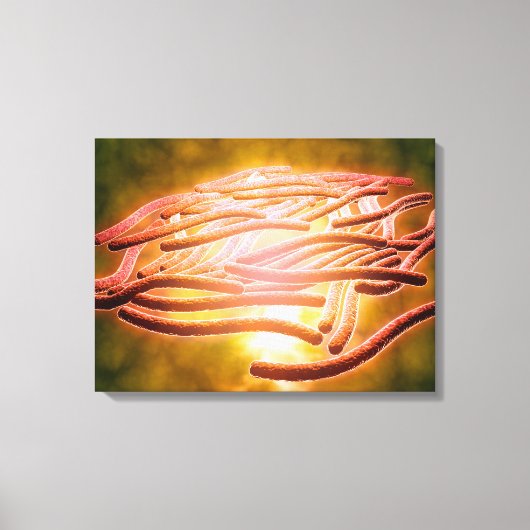 Microscopisch Uitzicht van Legionella Pneumophila  Canvas Afdruk (Voorkant)