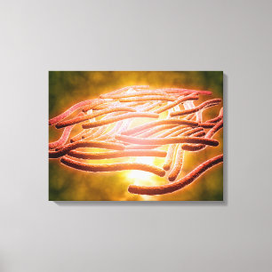 Microscopisch Uitzicht van Legionella Pneumophila  Canvas Afdruk