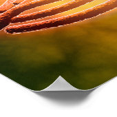 Microscopisch Uitzicht van Legionella Pneumophila Poster (Hoek)