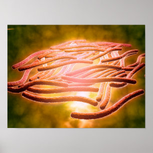 Microscopisch Uitzicht van Legionella Pneumophila  Poster