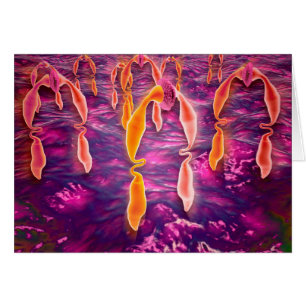 Microscopisch Uitzicht van ligand dat aan een rece